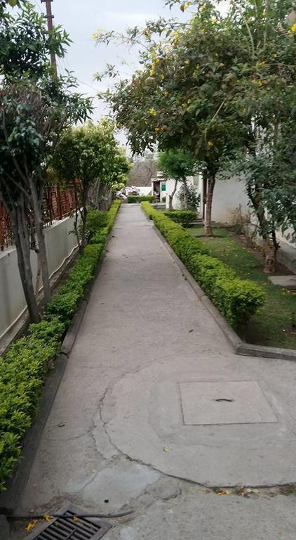 High View Cottage - Rishikesh Exterior photo
